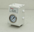 064580 Thermo Scientific Eo Gas