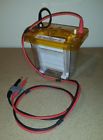 59905 Lonza Cambrex Pager Electrophoresis