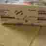 No039567 Dionex Ion Pac Ng1 Guard