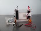 P9ds Owl Thermo Scientific Electrophoresis