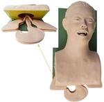 Pvc Adult Intubation Manikin Teaching Model,airway Management Trainer. Fixed Price $228.78.