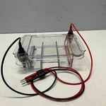 Wide Mini-sub Cell Gt Electrophoresis System Bio-rad High Voltage. Fixed Price $125.96.