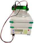 Bio-rad Gene Pulser Xcell Electroporator System With Biorad Criterion. Fixed Price $4199.99.