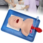 Lab Airway Intubation Manikin Study Infant Model Management Trainer Aid Pvc Hot. Fixed Price $61.76.