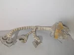 Brandel Cell Harvester Tubing Hose Assembly. Fixed Price $292.50.