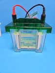 Bio-rad Mini Protean 3 Sds-page Gel Electrophoresis Box And Holder. Fixed Price $250.00.