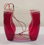 Amersham Biosciences Hoefer Se 600 Ruby Standard Vertical Electrophoresis Unit. Fixed Price $197.99.