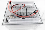 Bio-rad Protean Plus Dodeca Electrophoresis Cell Water-tested No Leaks. Fixed Price $165.00.