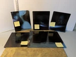 5 Used X-ray Film Negatives Brain Cervical Bones Anatomy Halloween Movie Prop. Fixed Price $28.95.