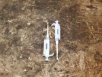 Mtc Bio Propette Single Channel Pipette, 20-200 Lot Of. Fixed Price $449.99.