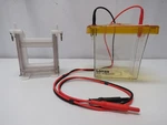 Lonza Pager Minigel Chamber Electrophoresis With Blot Module. Fixed Price $175.00.