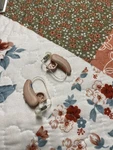 Truhearing Aids. Fixed Price $75.00.